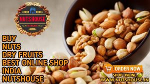 BUY NUTS DRY FRUITS BEST SHOP INDIA
