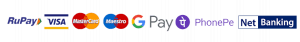digital payments in india instamojo blog 1 copy